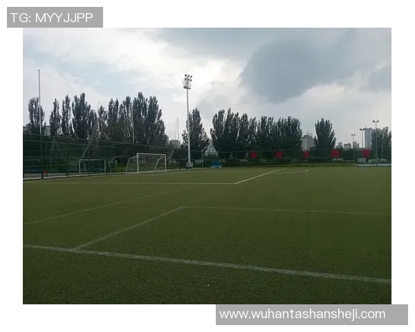 万人场之王：纵横绿茵的足球传奇